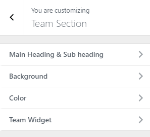 team section oneline