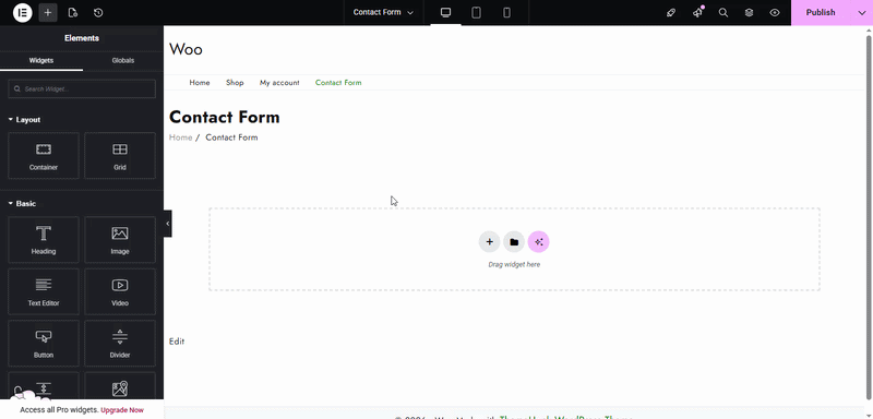 Lead Form Elementor GIF