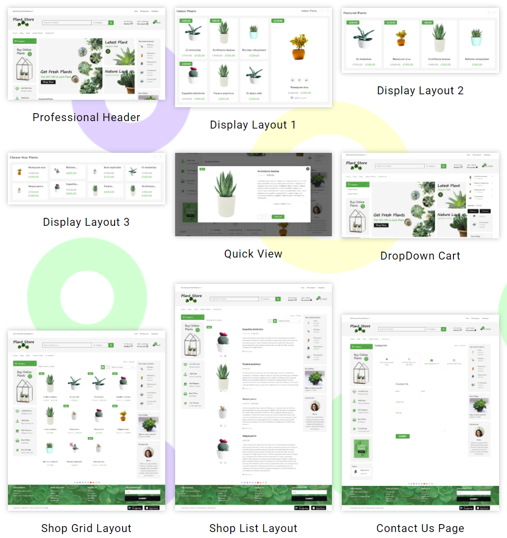 live section plant store