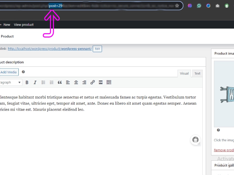 How to Get Product ID in WooCommerce (3 Methods) 6 image 30 1