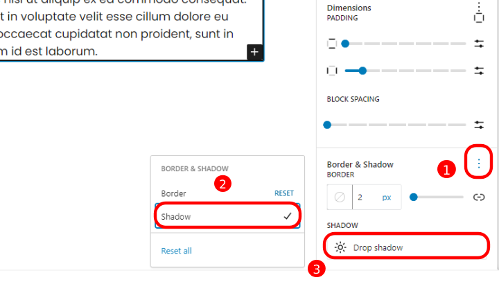 13 Best Features Coming in WordPress 6.5 with Screenshots 6 Drop Shadow