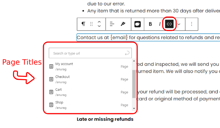 13 Best Features Coming in WordPress 6.5 with Screenshots 10 Page Titles