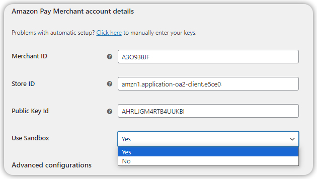 How To Set Up Amazon Pay For Woocommerce? (Beginner's Guide) 2024
