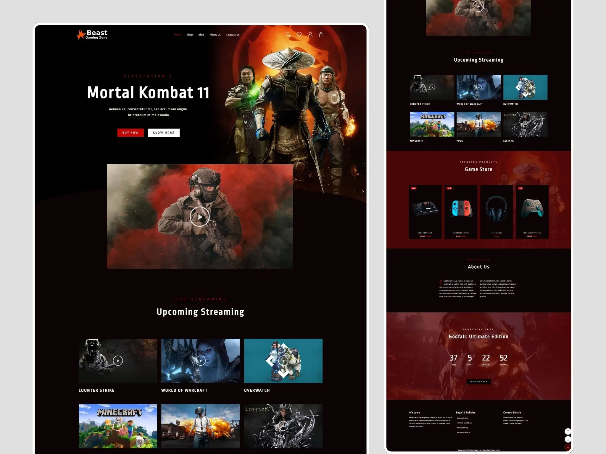 Video Gaming and eSports Store