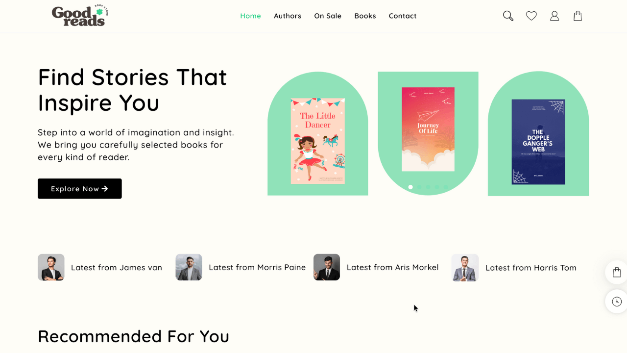 book storemore mania 21031