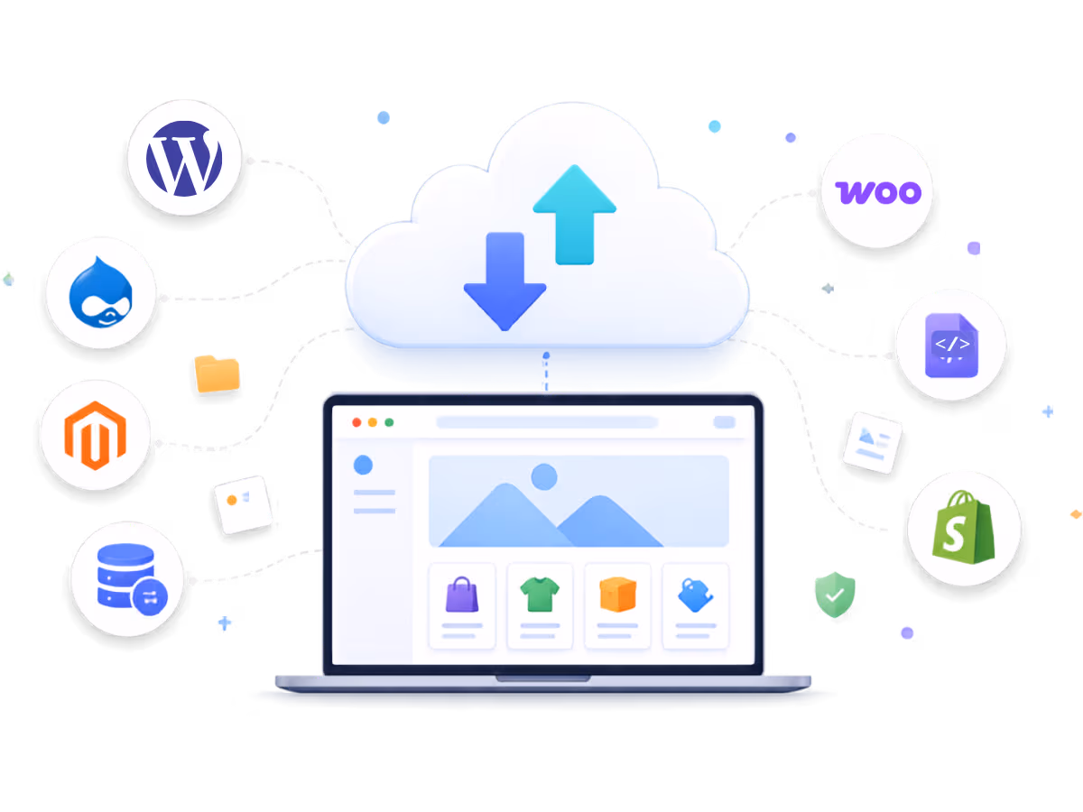 Website Migration Services
